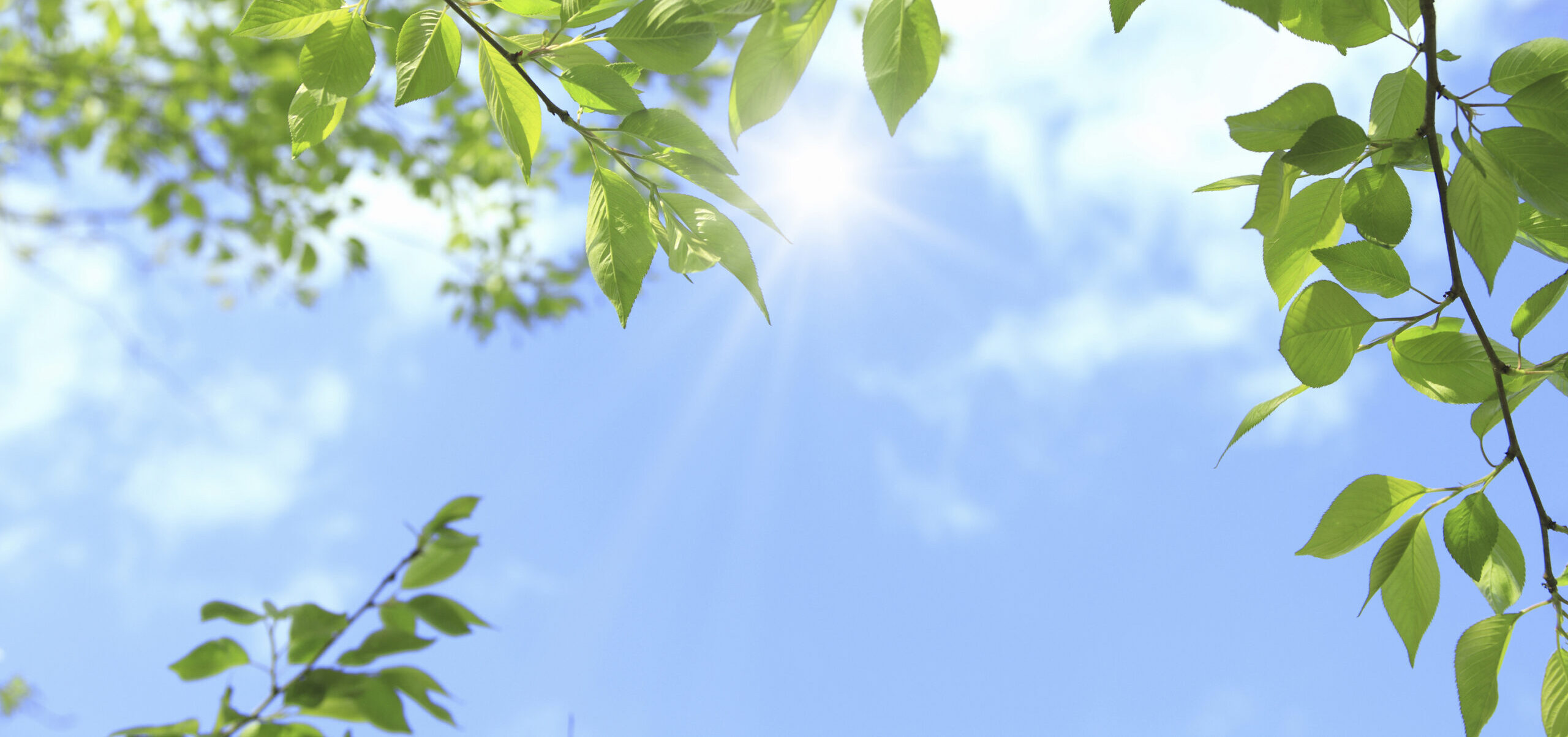 メインビジュアル1